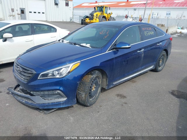 5NPE34AF1GH277650 Hyundai Sonata Sport/limited