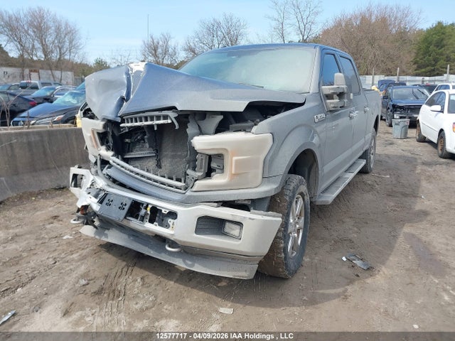 1FTFW1E51JFE30301 Ford F-150 Xlt