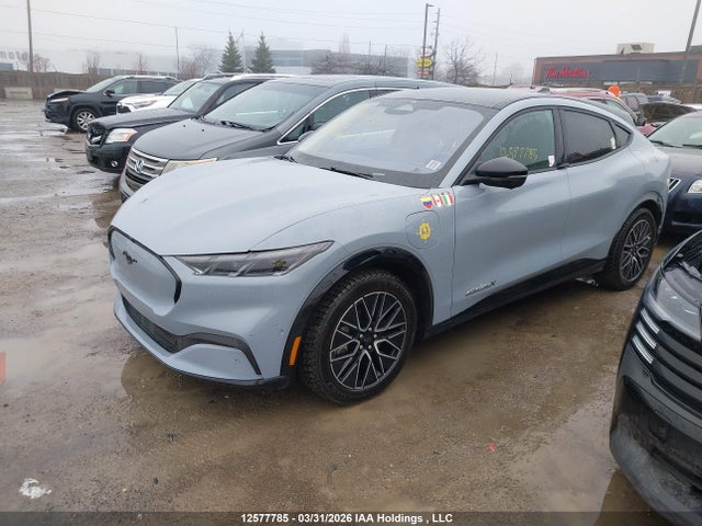 Продаж на аукціоні авто 2024 Ford Mustang Mach-e Premium, vin: 3FMTK3SU2RMA30082, номер лоту: 12577785