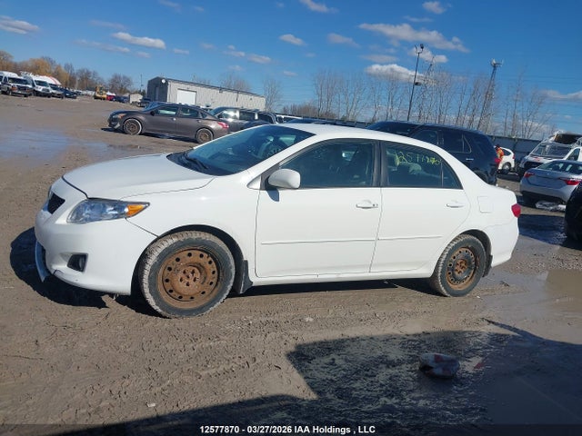 12577870 :رقم المزاد ، 2T1BU40E69C087468 vin ، 2009 Toyota Corolla S/le/xle مزاد بيع