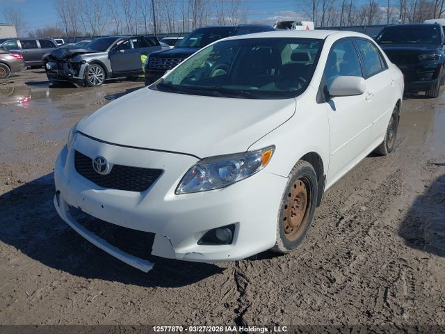 12577870 :رقم المزاد ، 2T1BU40E69C087468 vin ، 2009 Toyota Corolla S/le/xle مزاد بيع
