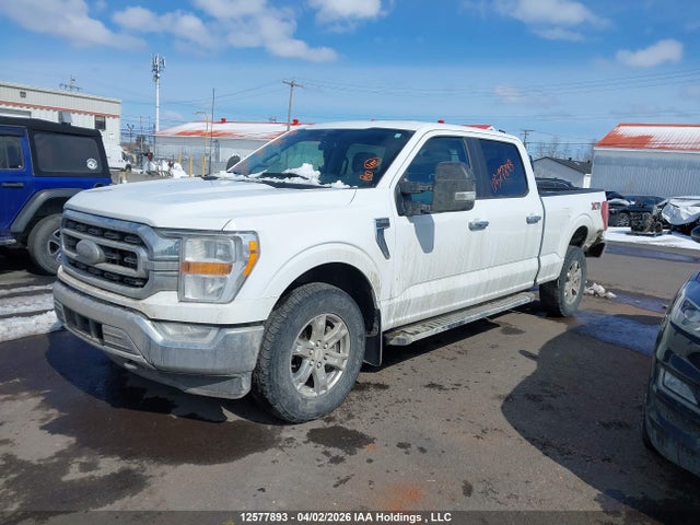 Ford F-150 2023 1FTFW1E88PKE94443 Image 2