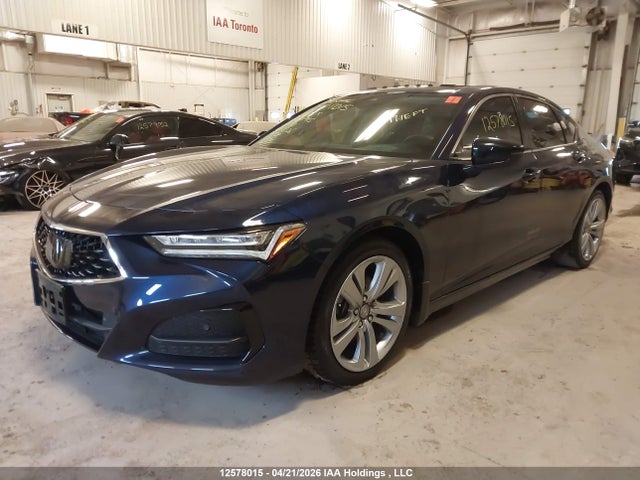 19UUB6F46MA801915 Acura TLX TECH