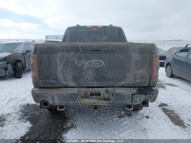 Продаж на аукціоні авто 2023 Ford F-150 Tremor, vin: 1FTEW1E88PFC28490, номер лоту: 12578201