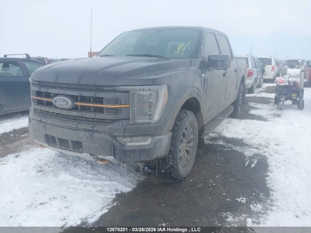 Продаж на аукціоні авто 2023 Ford F-150 Tremor, vin: 1FTEW1E88PFC28490, номер лоту: 12578201