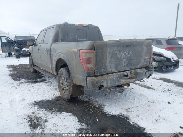 Продаж на аукціоні авто 2023 Ford F-150 Tremor, vin: 1FTEW1E88PFC28490, номер лоту: 12578201