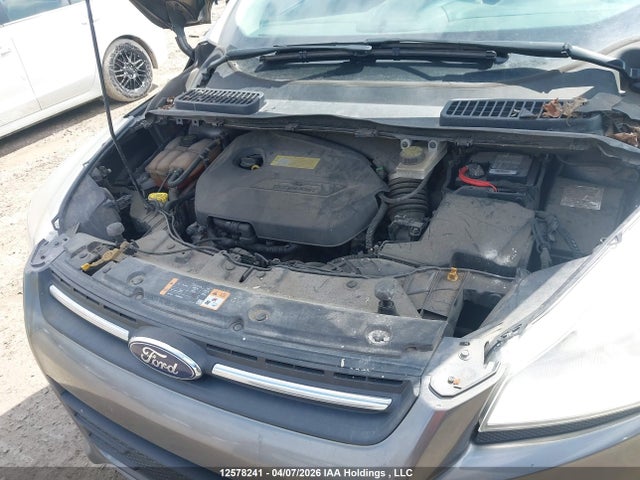 Ford Escape 2014 1FMCU0GX7EUA55562 Image 10
