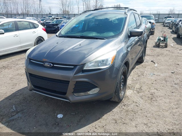 Ford Escape 2014 1FMCU0GX7EUA55562 Image 2