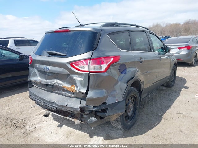Ford Escape 2014 1FMCU0GX7EUA55562 Image 4