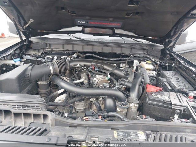 Продаж на аукціоні авто 2023 Ford Bronco Raptor, vin: 1FMEE5JR7PLB00666, номер лоту: 12567853