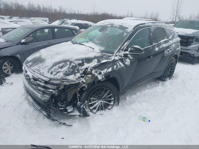 Продаж на аукціоні авто 2025 Hyundai Tucson Preferred Awd W/trend Package, vin: 3KMJCCDE0SE026172, номер лоту: 12498874