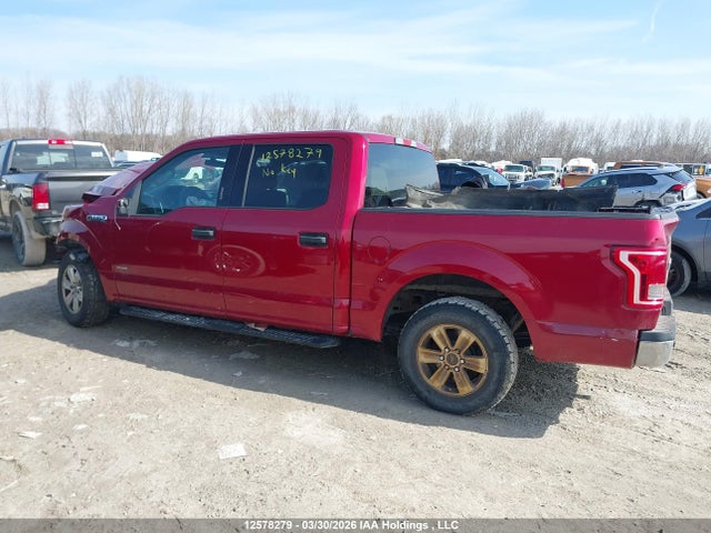 1FTEW1CG5GFC09647 Ford F-150 Xlt