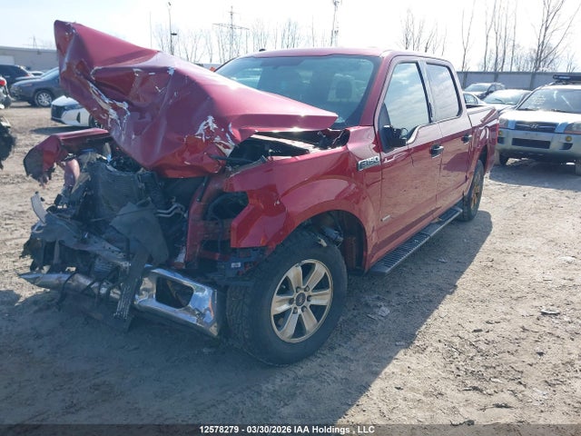 1FTEW1CG5GFC09647 Ford F-150 Xlt