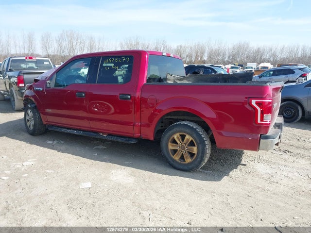 1FTEW1CG5GFC09647 Ford F-150 Xlt