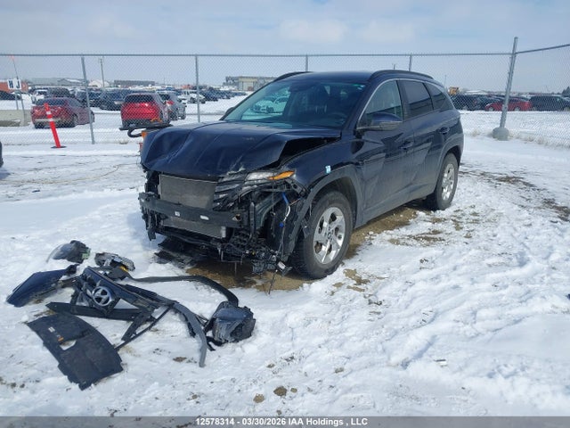 2023 Hyundai Tucson Sel მანქანა იყიდება აუქციონზე, vin: KM8JBCAE3PU181023, აუქციონის ნომერი: 12578314