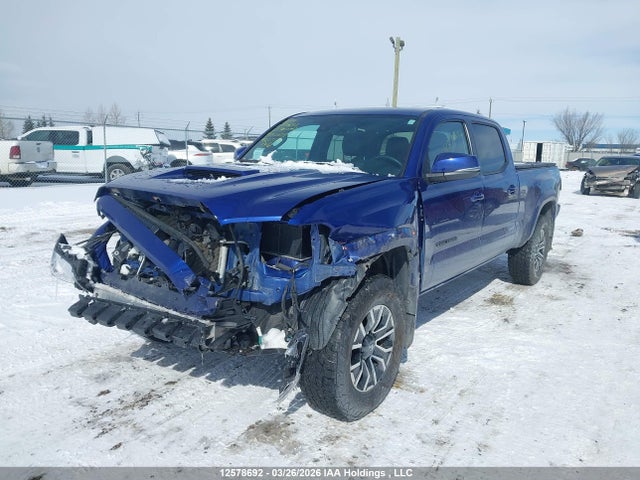 2023 Toyota Tacoma Double Cab/sr5/trd Sport/trd Off Road მანქანა იყიდება აუქციონზე, vin: 3TYDZ5BN2PT025605, აუქციონის ნომერი: 12578692