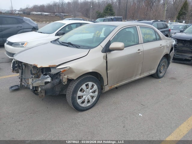 Продажа на аукционе авто 2010 Toyota Corolla S/le/xle, vin: 2T1BU4EE1AC219260, номер лота: 12578922