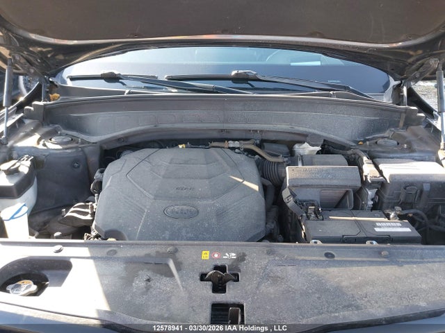 12578941 :رقم المزاد ، 5XYP5DHC7MG122022 vin ، 2021 Kia Telluride مزاد بيع