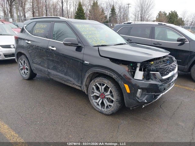 Auction sale of the 2022 Kia Seltos, vin: KNDETCA29N7264380, lot number: 12579010