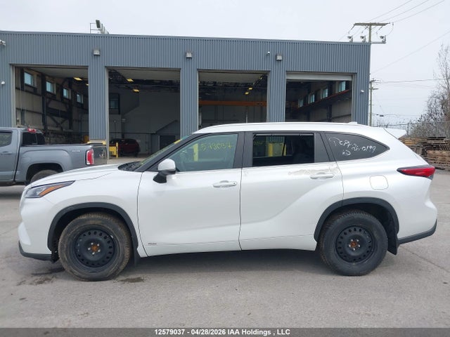 2023 Toyota Highlander Hybrid Xle მანქანა იყიდება აუქციონზე, vin: 5TDKBRCH6PS582377, აუქციონის ნომერი: 12579037