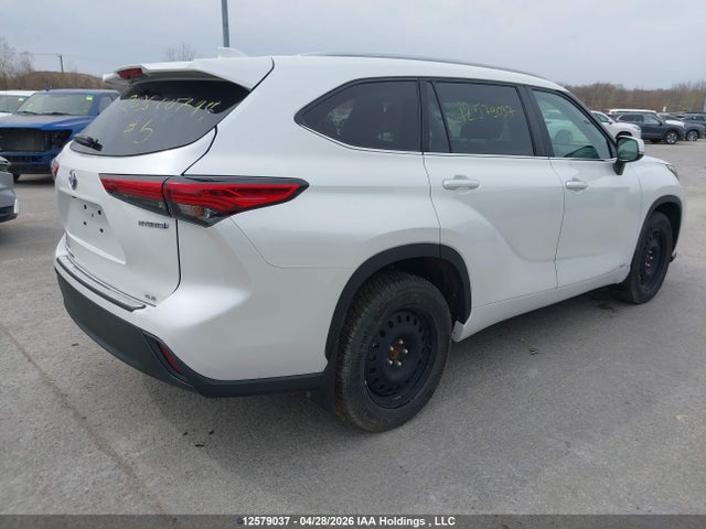 2023 Toyota Highlander Hybrid Xle მანქანა იყიდება აუქციონზე, vin: 5TDKBRCH6PS582377, აუქციონის ნომერი: 12579037