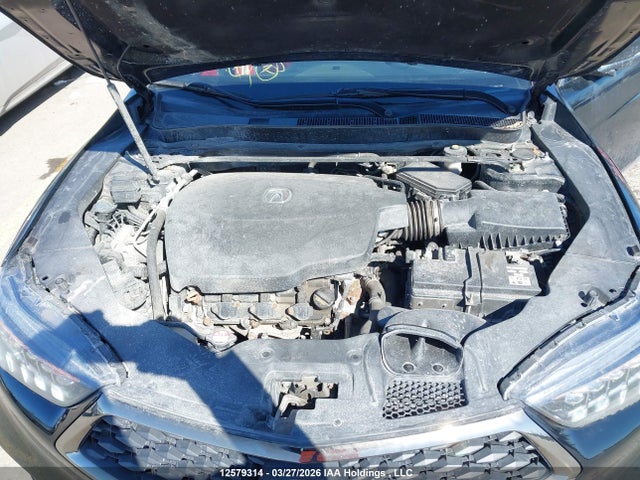 19UUB3F83KA801241 Acura TLX