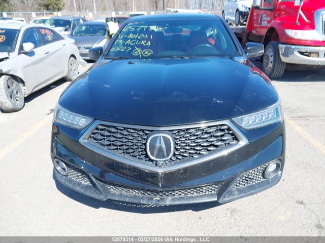 19UUB3F83KA801241 Acura TLX