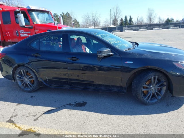 19UUB3F83KA801241 Acura TLX