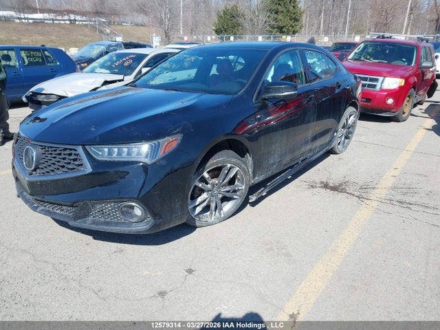 19UUB3F83KA801241 Acura TLX