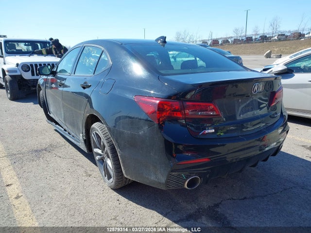 19UUB3F83KA801241 Acura TLX