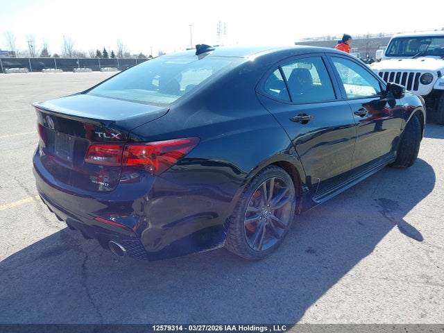 19UUB3F83KA801241 Acura TLX