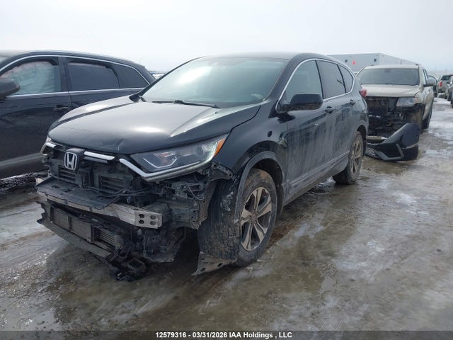2HKRW2H26MH230156 Honda CR-V