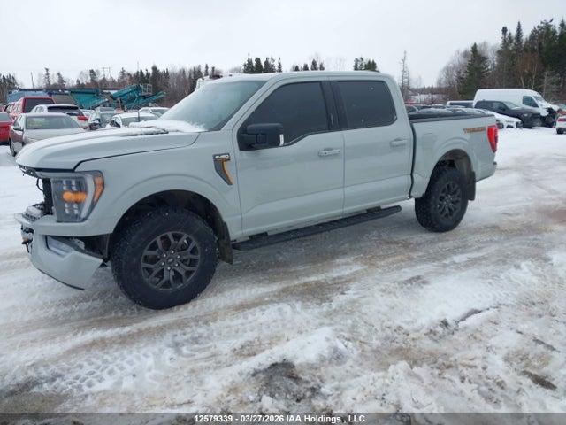 Продаж на аукціоні авто 2023 Ford F-150 Tremor, vin: 1FTEW1E84PFC94146, номер лоту: 12579339