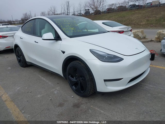 Auction sale of the 2025 Tesla Model Y Long Range, vin: 7SAYGDED1SF261596, lot number: 12579352