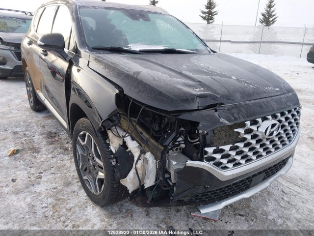 KM8S3DA14MU003038 Hyundai Santa Fe Hybrid Preferred