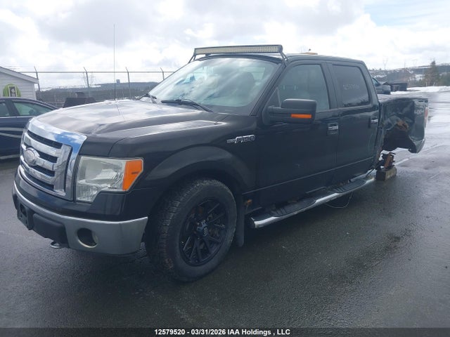 Aukcja sprzedaży 2009 Ford F-150 Fx4/king Ranch/lariat/platinum Package/xlt, vin: 1FTPW14V29FA10290, numer aukcji: 12579520