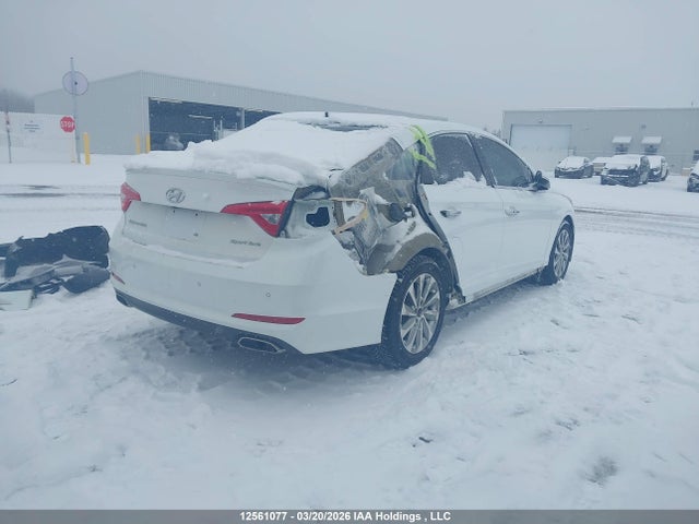 12561077 :رقم المزاد ، 5NPE34AF6GH414159 vin ، 2016 Hyundai Sonata Sport Tech مزاد بيع
