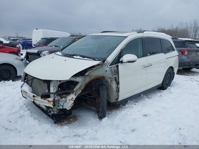 5FNRL5H65GB504396 Honda Odyssey Ex-l