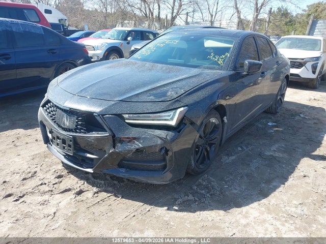 19UUB6F49MA800998 Acura TLX TECH
