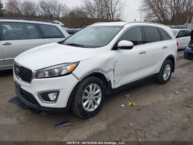 5XYPG4A39GG137842 KIA Sorento
