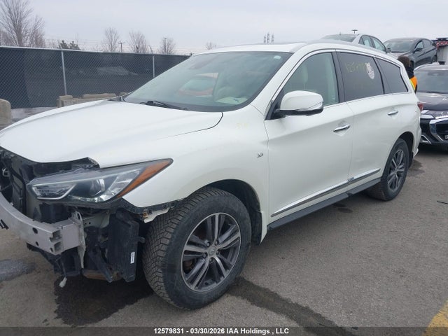 5N1DL0MM6KC560754 Infiniti QX60