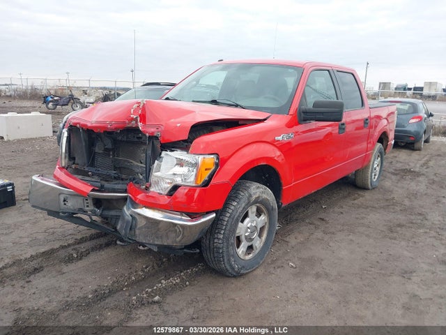 Aukcja sprzedaży 2010 Ford F-150 Xlt, vin: 1FTEW1E84AFC80299, numer aukcji: 12579867