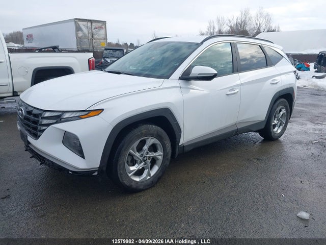 Продажа на аукционе авто 2023 Hyundai Tucson, vin: KM8JB3AEXPU240875, номер лота: 12579982
