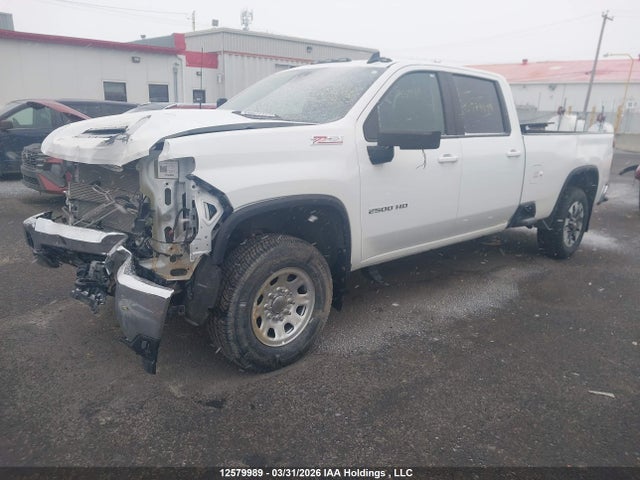 12579989 :رقم المزاد ، 1GC1YNEY7RF386676 vin ، 2024 Chevrolet Silverado K2500 Heavy Duty Lt مزاد بيع