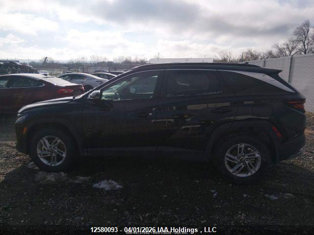 Продаж на аукціоні авто 2025 Hyundai Tucson Sel, vin: 5NMJBCDE8SH548918, номер лоту: 12580093