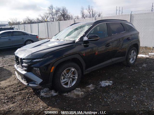Продаж на аукціоні авто 2025 Hyundai Tucson Sel, vin: 5NMJBCDE8SH548918, номер лоту: 12580093