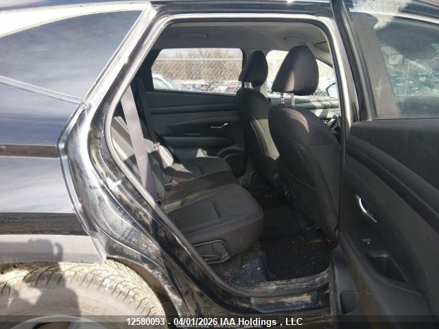 Продаж на аукціоні авто 2025 Hyundai Tucson Sel, vin: 5NMJBCDE8SH548918, номер лоту: 12580093