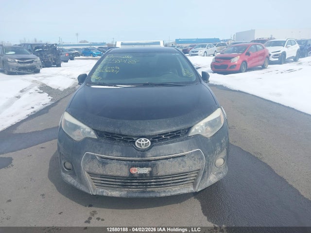 2T1BURHE3GC636204 Toyota Corolla L/le/le Pls/prm/s/s Pls