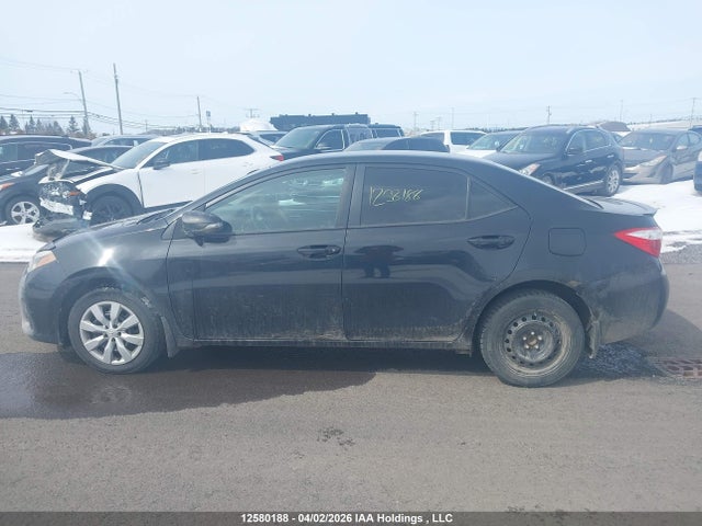2T1BURHE3GC636204 Toyota Corolla L/le/le Pls/prm/s/s Pls