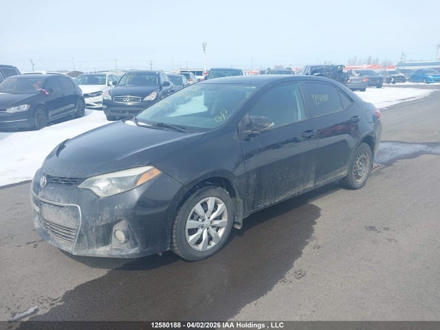 2T1BURHE3GC636204 Toyota Corolla L/le/le Pls/prm/s/s Pls
